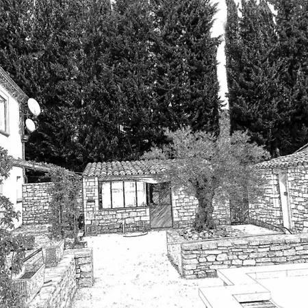 Le Vieil Olivier 5
